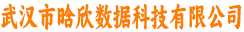 武汉市晗欣数据科技有限公司